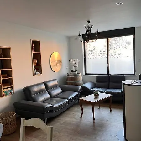 Du Parc Au Coeur De Malo Holiday home